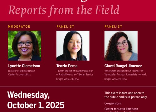 (Expired) Donia Human Rights Panel | The Hazards of Reporting On Human ...