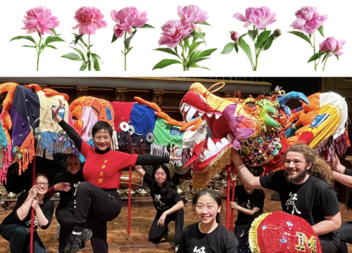 Expired) Dancing with the Dragon at the Peony Garden | Happening
