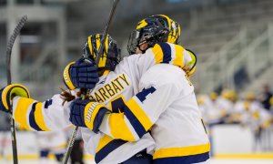 Image Imported from Maize Pages