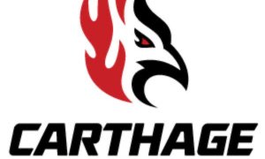 Image Imported from Maize Pages