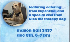 Image Imported from Maize Pages