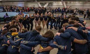 Image Imported from Maize Pages