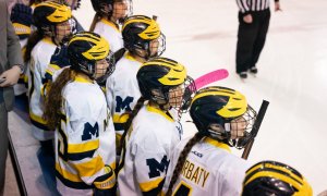 Image Imported from Maize Pages