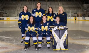 Image Imported from Maize Pages