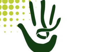 Image Imported from Maize Pages