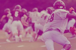 Image Imported from Maize Pages