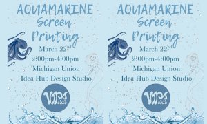 Image Imported from Maize Pages