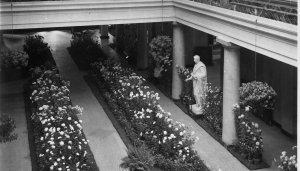UMMA Highlights Tour: Art, Architecture and Renewal