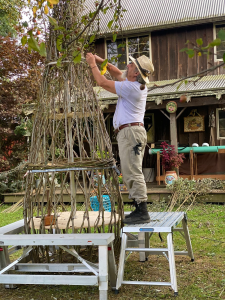 Howard Peller, a man with a beard wearing a hat, stands on a bench while weaving live willow branches into a conical shape.