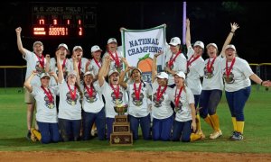 Image Imported from Maize Pages
