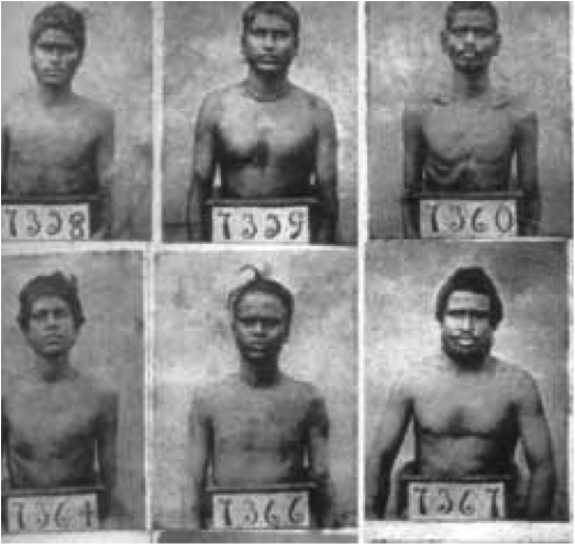 Indentured Labourers in South Africa.
