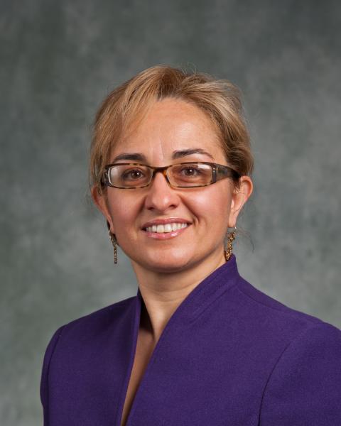 Dr. Maria Katapodi