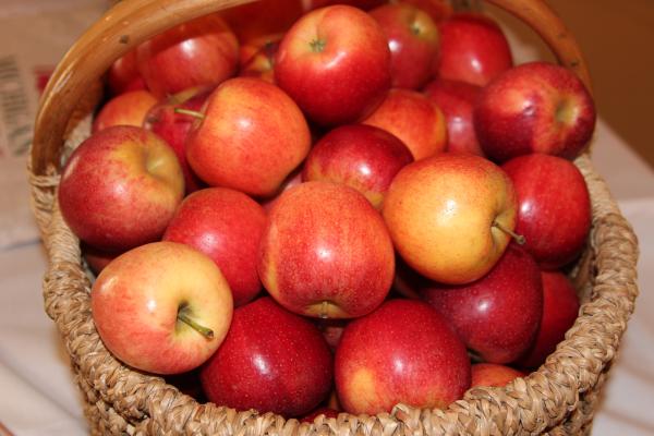 Apples