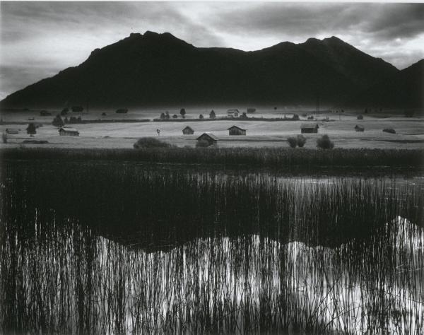 Brett Weston