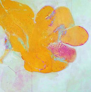 Fusion & Separation: Mixed Media on Panel by Mary Rousseaux