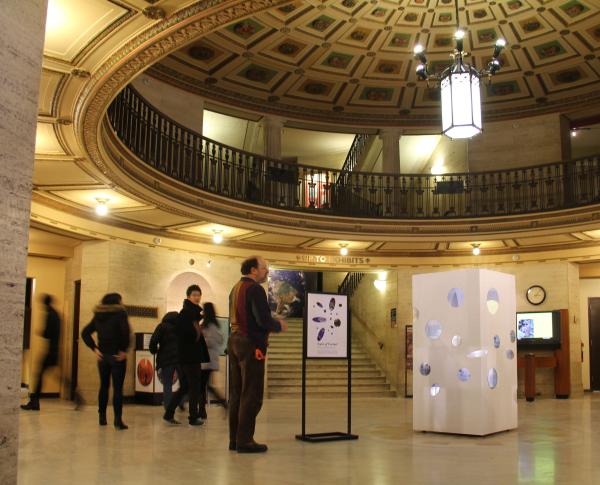 Natural History Museum Entry-way
