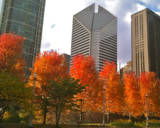 chicago