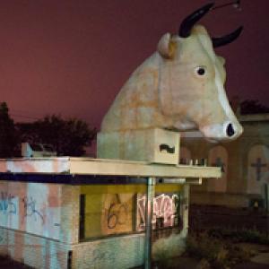 Detroit is No Dry Bones
