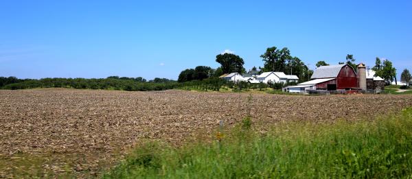 Michigan Farm