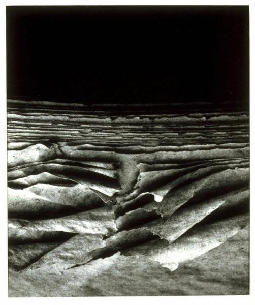 Untitled, 1980, gelatin silver print, UMMA, Gift of Mrs. Marion Hrebek Keys, 199
