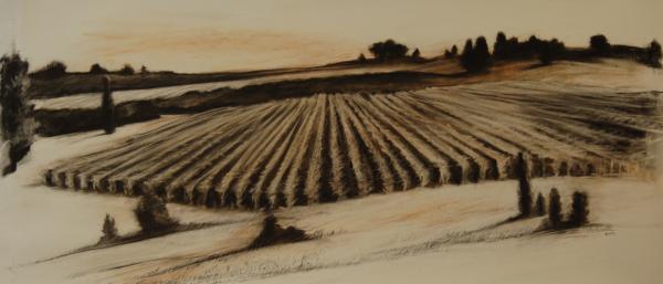http://stamps.umich.edu/images/uploads/exhibitions/Venturelli-GrapevinesonCarrol