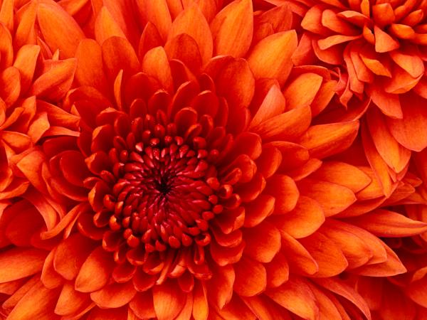Test imge