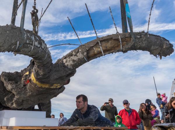 A mammoth skull, recently excavated and covered in mud, is lowered via straps on
