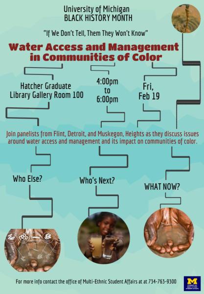 "If We Don't Tell, Them They Won't Know" Water Access and Management in Communit