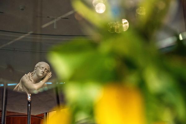 Umma Reflections