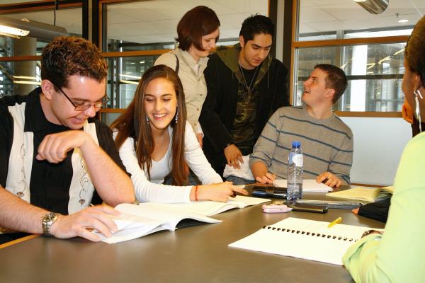 Study Group in Library