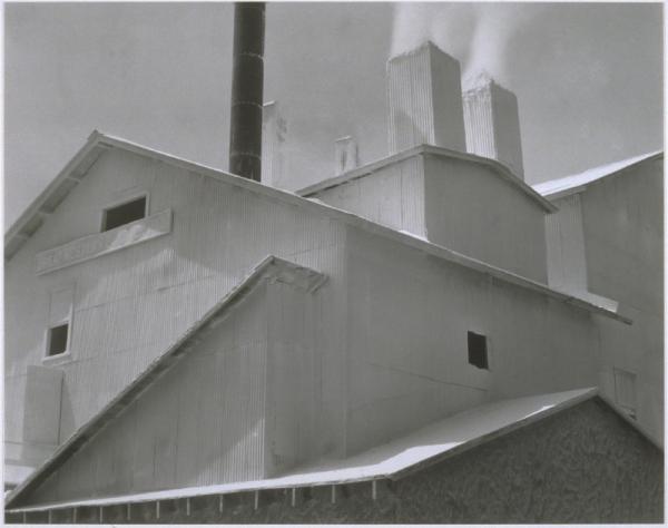 Photographers and Architecture, 1855–1985