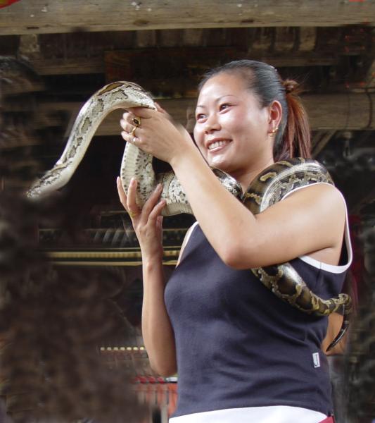 Snake Girl