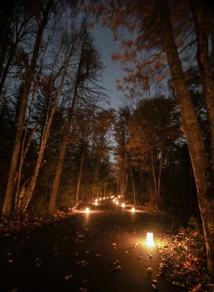 Dark Sky Park and Day Hikes