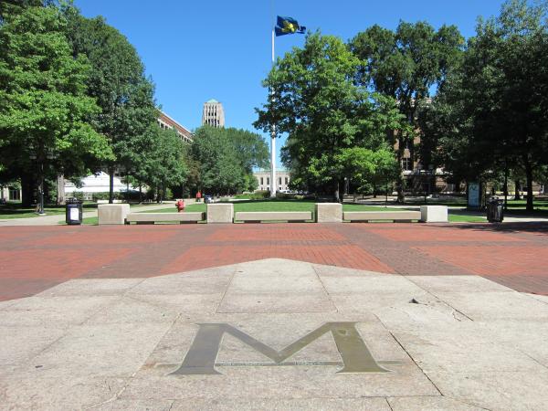 the diag