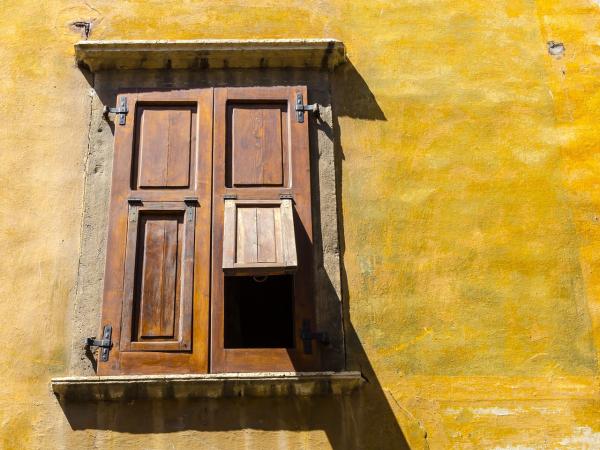 Window Picture