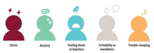 Mental Health Cart