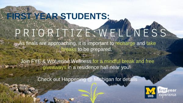 wellness flyer