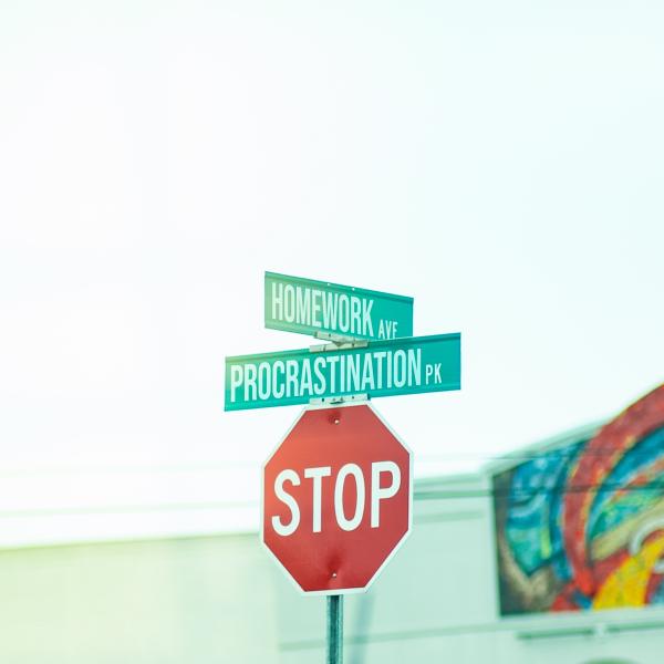 red, white, and green traffic signs saying stop, homework and procrastination