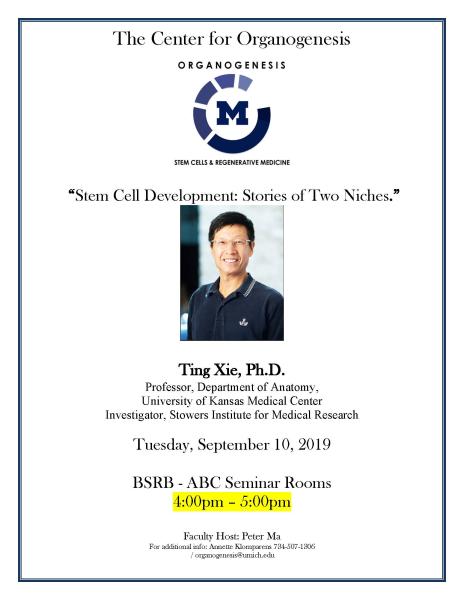 Stem Cell Development: Stories of Two Niches.