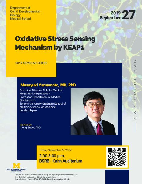 CDB Seminar - Yamamoto