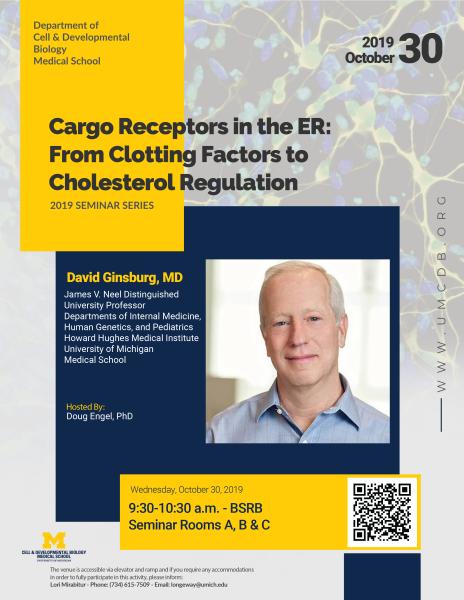 CDB Seminar - Ginsburg