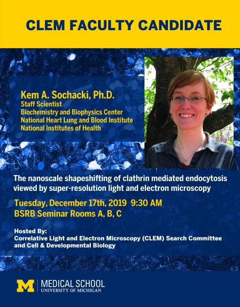 CLEM FACULTY CANDIDATE Seminar