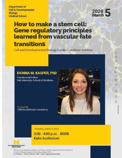 How to make a stem cell: Gene regulatory principles learned from vascular fate transitions