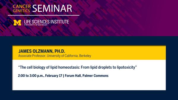 LSI Cancer Genetics Seminar, Feb. 17