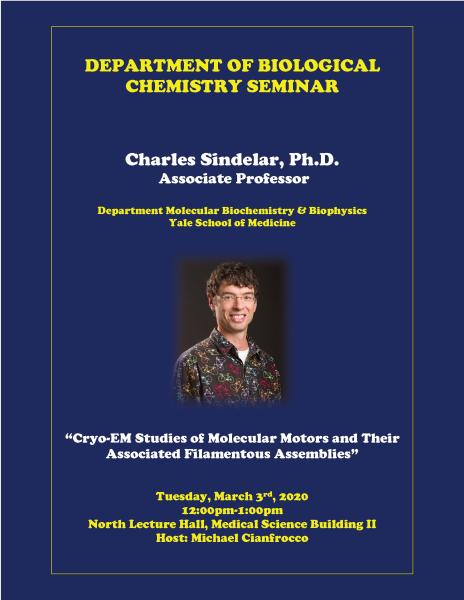 Sindelar Flyer