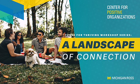 A Landscape of Connection