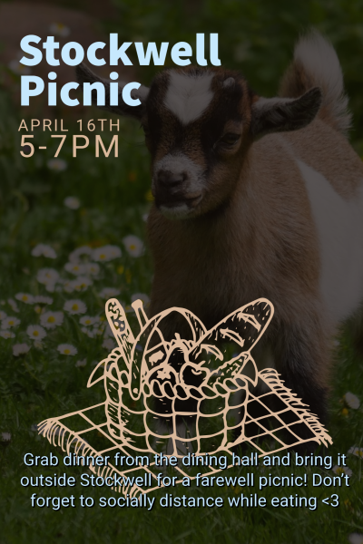 Grab dinner from the dining hall and bring it outside Stockwell for a farewell picnic!