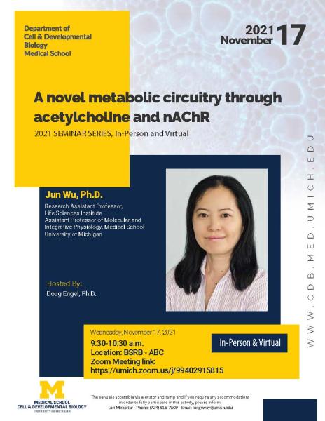 A novel metabolic circuitry through acetylcholine and nAChR