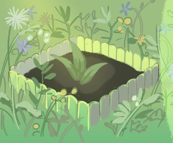Plant inside a fence surrounded by other plants