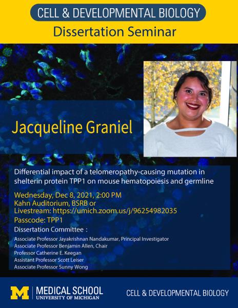 Differential impact of a telomeropathy-causing mutation in shelterin protein TPP1 on mouse hematopoiesis and germline